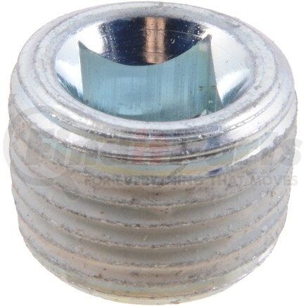 Dana 43180 Differential Carrier Fill Plug
