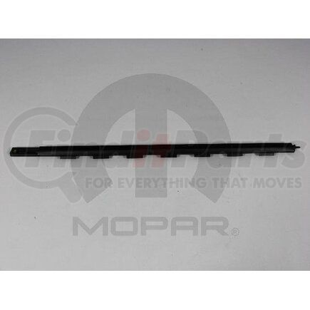 Mopar 55277030AD Door Seal - Rear, Right