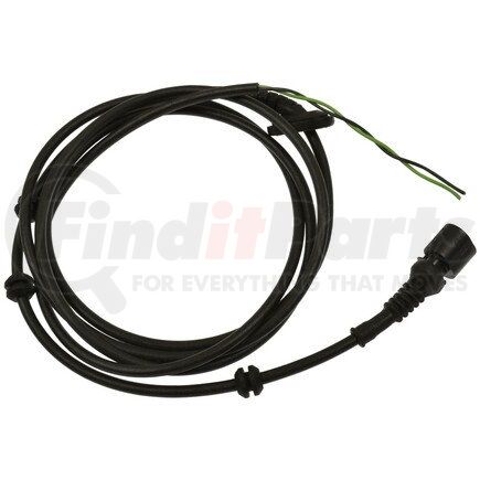 Body Wiring Harness and Components