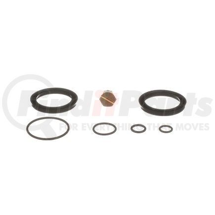 Standard Ignition PHS1 Fuel Filter Housing Seal Kit