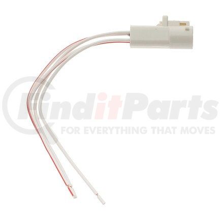 Standard Ignition S825 Back-Up Lamp Connector