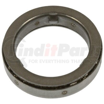 Standard Ignition SK170 Fuel Injector O-Ring