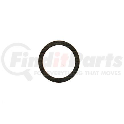 Pioneer 757025 WASHER