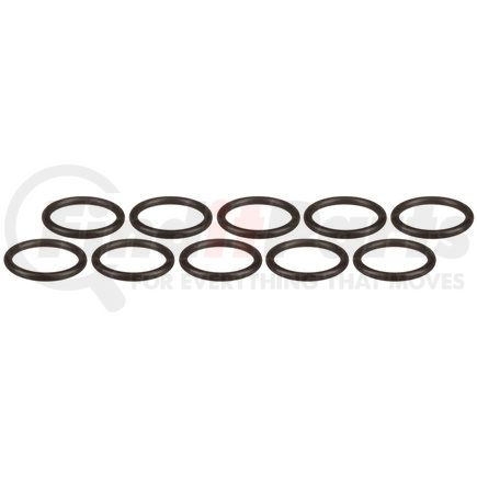 Pioneer 76200810 Automatic Transmission Dipstick Tube Seal