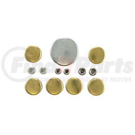 Pioneer 830012 Engine Expansion Plug Kit