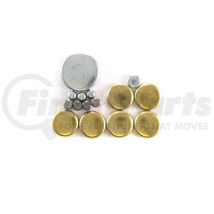 Pioneer 830004 Engine Expansion Plug Kit