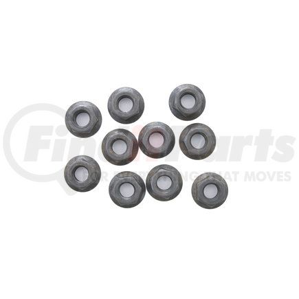 Pioneer 852010 Flange Nut Kit
