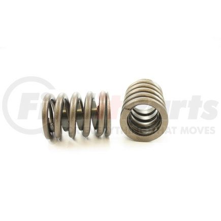 Pioneer RV961X100 VALVE SPRING