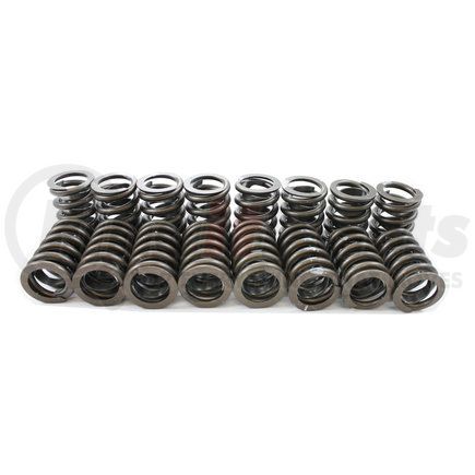 Pioneer S-1052 Engine Valve Spring Kit