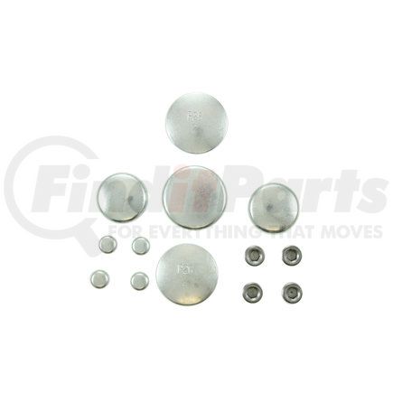 Pioneer PE103 Engine Expansion Plug Kit