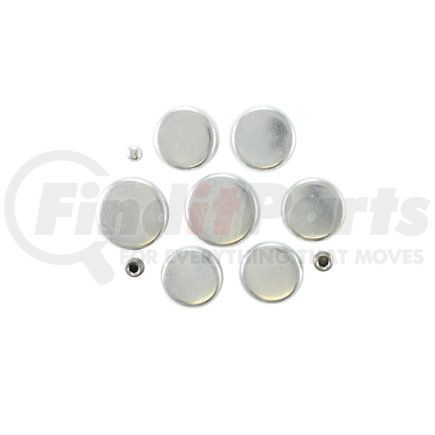 Pioneer PE105 Engine Expansion Plug Kit