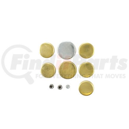 Pioneer PE105BR Engine Expansion Plug Kit