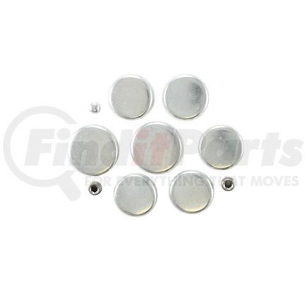 Pioneer PE105R Engine Expansion Plug Kit