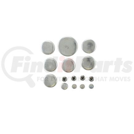 Pioneer PE108R Engine Expansion Plug Kit