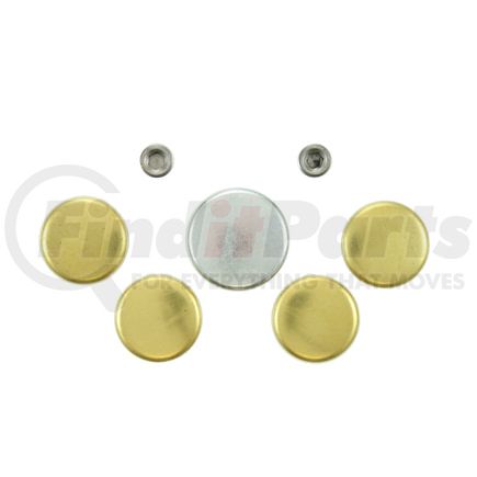 Pioneer PE111B Engine Expansion Plug Kit