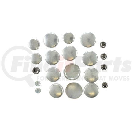 Pioneer PE113 Engine Expansion Plug Kit