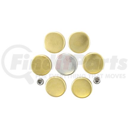 Pioneer PE116BR Engine Expansion Plug Kit