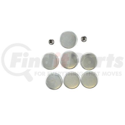 Pioneer PE116R Engine Expansion Plug Kit