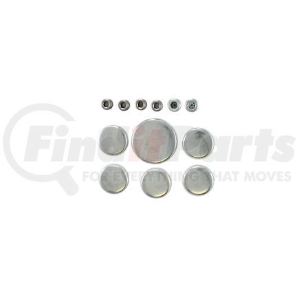 Pioneer PE118R Engine Expansion Plug Kit