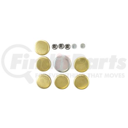 Pioneer PE120B Engine Expansion Plug Kit