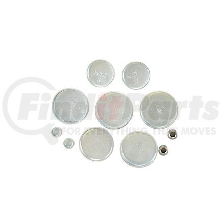 Pioneer PE119R Engine Expansion Plug Kit