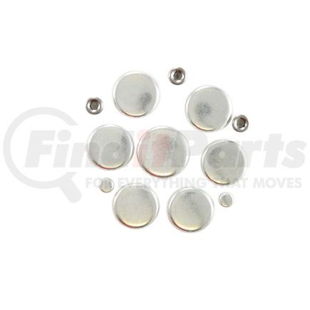 Pioneer PE120 Engine Expansion Plug Kit