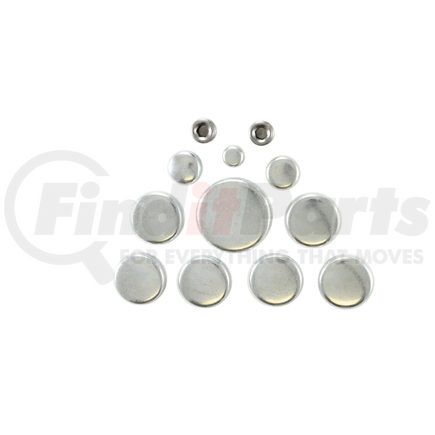 Pioneer PE124 Engine Expansion Plug Kit