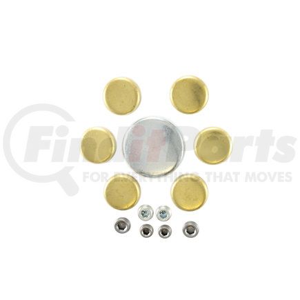 Pioneer PE125BR Engine Expansion Plug Kit