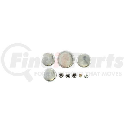 Pioneer PE126 Engine Expansion Plug Kit