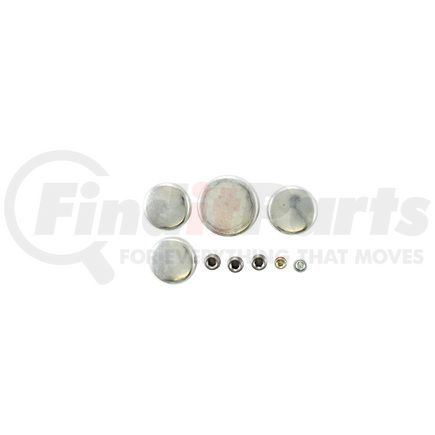 Pioneer PE126R Engine Expansion Plug Kit