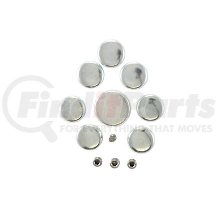 Pioneer PE129 Engine Expansion Plug Kit