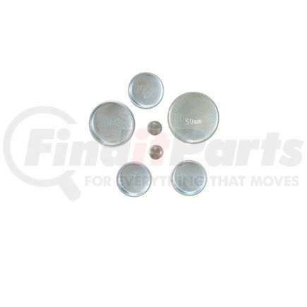 Pioneer PE130 Engine Expansion Plug Kit