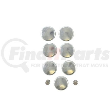 Pioneer PE131 Engine Expansion Plug Kit