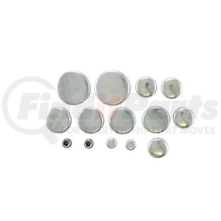 Pioneer PE137R Engine Expansion Plug Kit