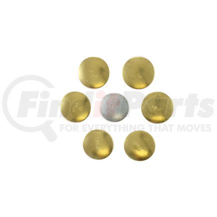 Pioneer PE-157-BR Engine Expansion Plug Kit