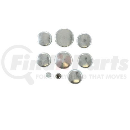 Pioneer PE163 Engine Expansion Plug Kit