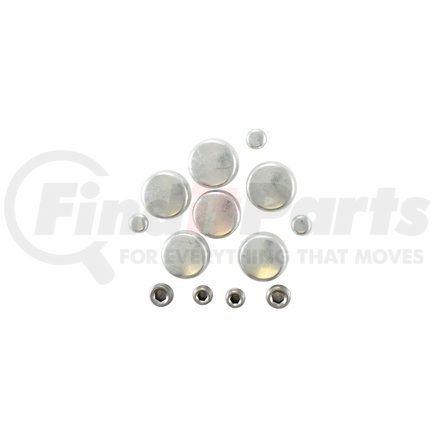 Pioneer PE165 Engine Expansion Plug Kit