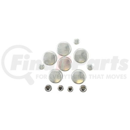 Pioneer PE165R Engine Expansion Plug Kit