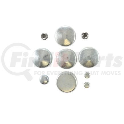 Pioneer PE167 Engine Expansion Plug Kit