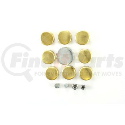 Pioneer PE169B Engine Expansion Plug Kit