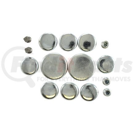 Pioneer PE177 Engine Expansion Plug Kit