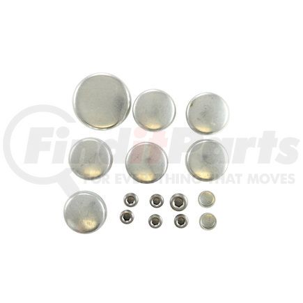 Pioneer PE180R Engine Expansion Plug Kit