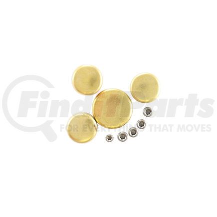 Pioneer PE187BR Engine Expansion Plug Kit