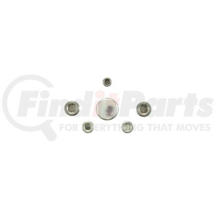 Pioneer PE242R Engine Expansion Plug Kit