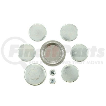 Pioneer PE246R Engine Expansion Plug Kit