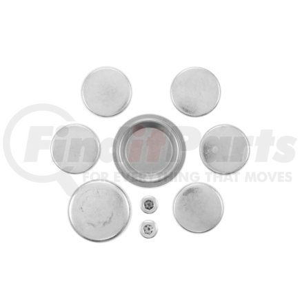 Pioneer PE246 Engine Expansion Plug Kit