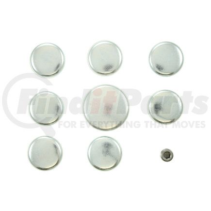 Pioneer PE250R Engine Expansion Plug Kit