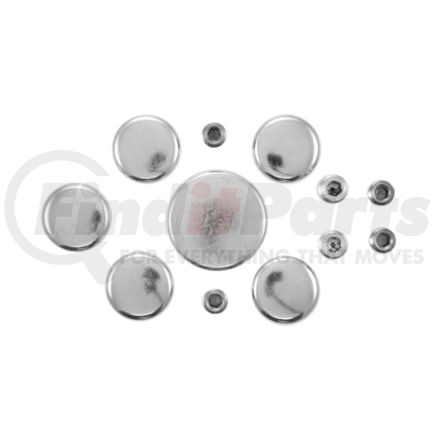 Pioneer PE252R Engine Expansion Plug Kit