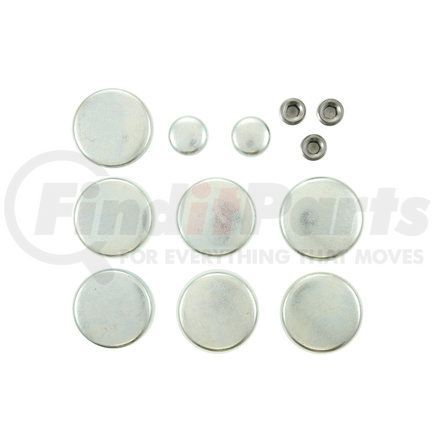 Pioneer PE256R Engine Expansion Plug Kit