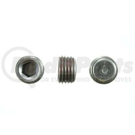 Pioneer PP58425 PIPE PLUG